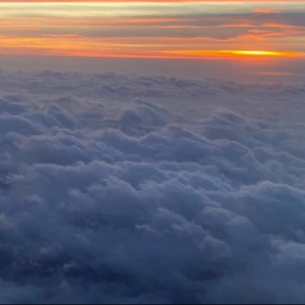 Meet your Posher, Pepper